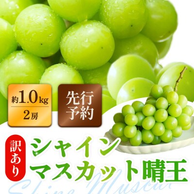 訳ありシャインマスカット 晴王 2房 合計1.0kg以上