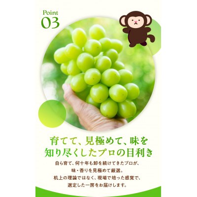 訳ありシャインマスカット 晴王 2房 合計1.0kg以上