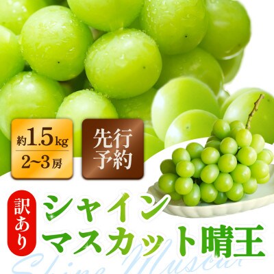 訳ありシャインマスカット 晴王 2～3房 合計1.5kg以上