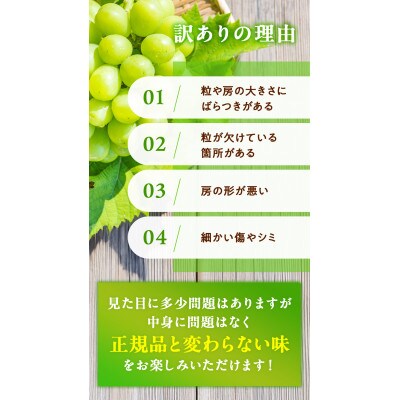訳ありシャインマスカット 晴王 2～3房 合計1.5kg以上