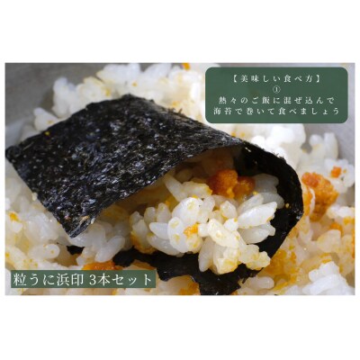 粒うに浜印 55g 3本セット 下関 山口 ED05-NT-x