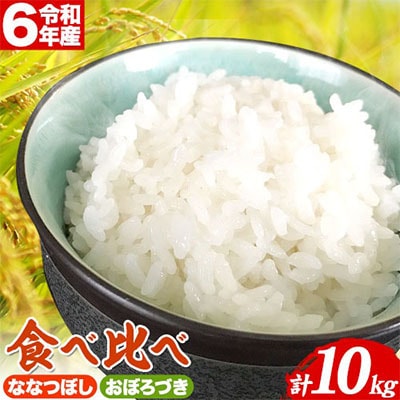 令和6年米　当別産米食べ比べ10kg「ななつぼし・おぼろづき」