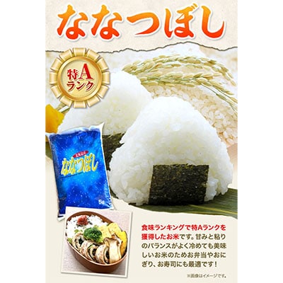 令和6年米　当別産米食べ比べ10kg「ななつぼし・おぼろづき」