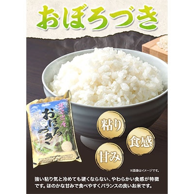 令和6年米　当別産米食べ比べ10kg「ななつぼし・おぼろづき」