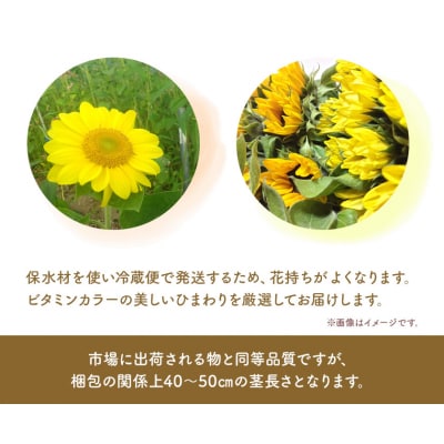 ひまわり切花30本入り(黄色、オレンジ 計30本)