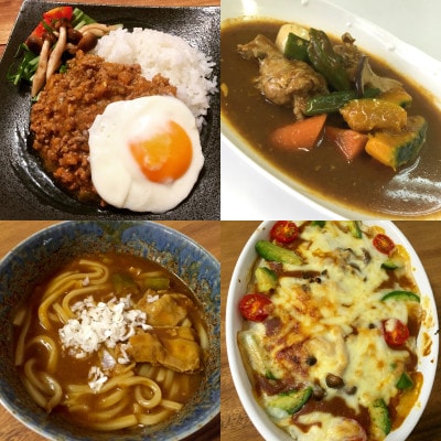 国立薬膳カレーバラエティ7食セット　(ポーク・チキン・ビーフ各1食/　やさい・ルー各2食)