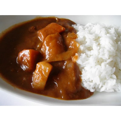 30種のスパイスを使用　国立薬膳カレーやさい　200g×10食セット　小麦粉・ラード不使用