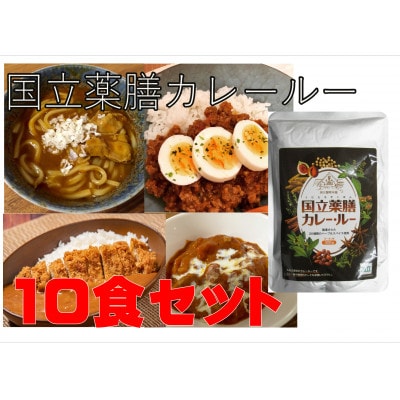 30種のスパイスを使用　国立薬膳カレールー　300g×10パックセット　小麦粉・ラード不使用