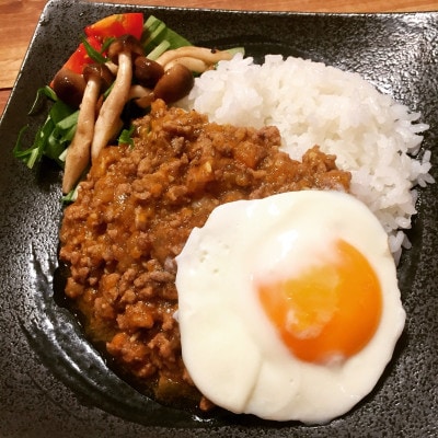 30種のスパイスを使用　国立薬膳カレールー　300g×10パックセット　小麦粉・ラード不使用