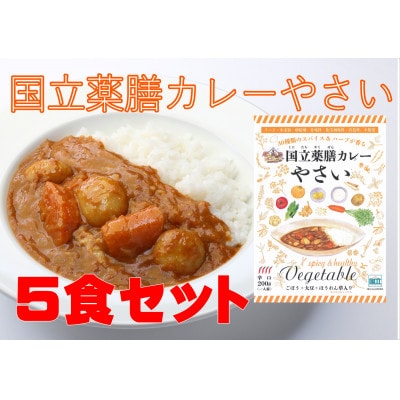 30種のスパイスを使用　国立薬膳カレーやさい　200g×5食セット　小麦粉・ラード不使用