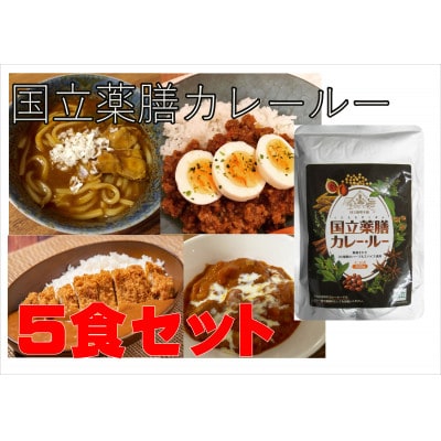 30種のスパイスを使用　国立薬膳カレールー　300g×5パックセット　小麦粉・ラード不使用