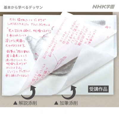 通信講座　基本から学べるデッサン(教具付)