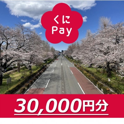 国立市デジタル地域通貨『くにPay』30,000ポイント