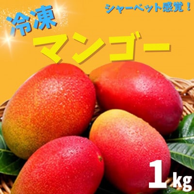 訳あり 冷凍マンゴー(1kg)佐々町産