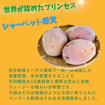 訳あり 冷凍マンゴー(1kg)佐々町産