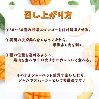 訳あり 冷凍マンゴー(1kg)佐々町産