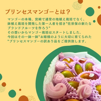 世界が認めたプリンセス【佐々町産】マンゴー訳あり(3kg)