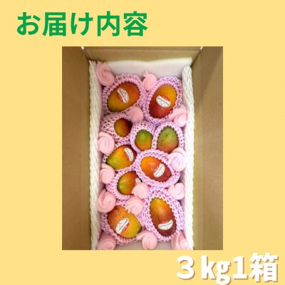 世界が認めたプリンセス【佐々町産】マンゴー訳あり(3kg)