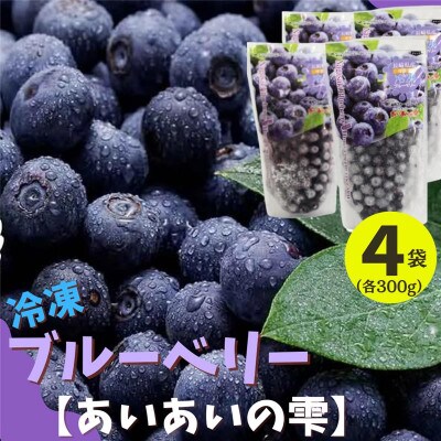 佐々町産冷凍ブルーベリー(300g×4袋)【あいあいの雫】