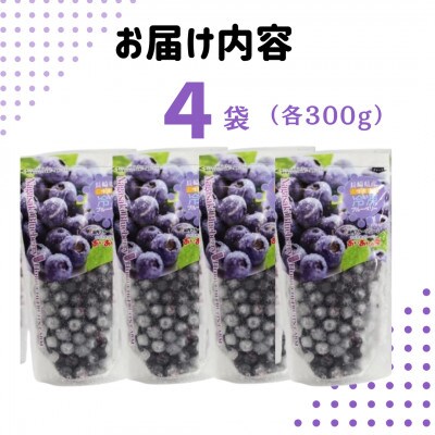 佐々町産冷凍ブルーベリー(300g×4袋)【あいあいの雫】