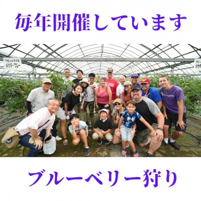 佐々町産冷凍ブルーベリー(300g×4袋)【あいあいの雫】