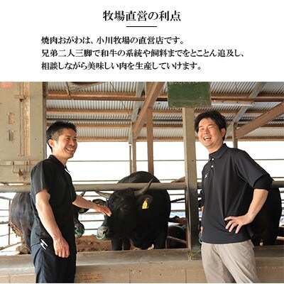 【毎月定期便】長崎和牛おがわ牛 A5ランクのみ特選ロース極厚焼肉(自家製タレ付き)(佐々町)全6回