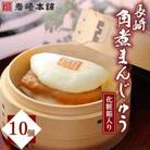 【毎月定期便】【岩崎本舗】大とろ角煮まんじゅう10個 箱入り(佐々町)全12回