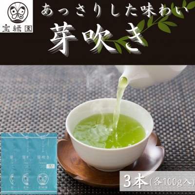 【爽やかな旨味】さざの 有機栽培茶 芽吹き 100g×3本【宝緑園】