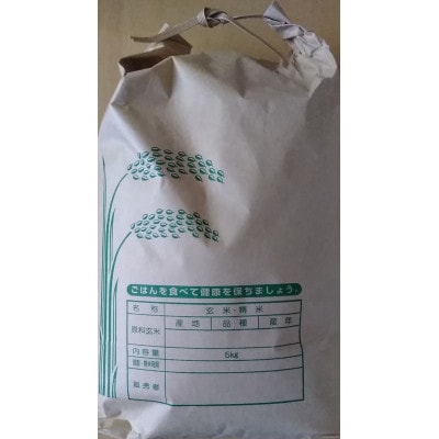 長崎県産　ひのひかり　5kg