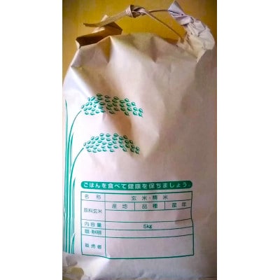 長崎県産　ひのひかり　5kg