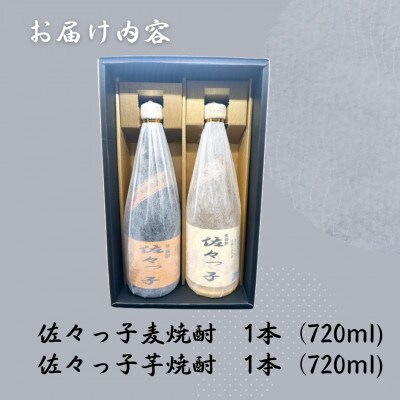 【毎月定期便】【酒のタナカ オリジナル】ふるさとの焼酎 佐々っ子 麦・芋2本セット各720ml全3回
