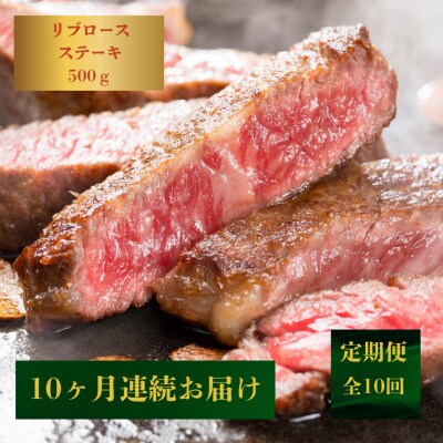 【発送月固定定期便】【霜降り】長崎和牛リブロースステーキ500g(250g×2)(佐々町)全10回