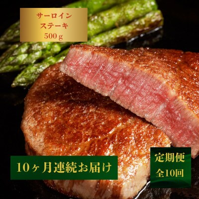 【発送月固定定期便】【極厚!】長崎和牛サーロインステーキ500g(250g×2)(佐々町)全10回