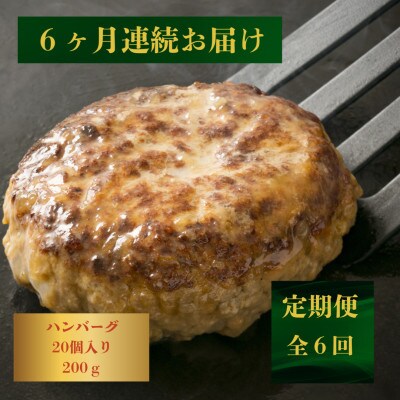 【発送月固定定期便】【じゅわり溢れる肉汁】長崎和牛ハンバーグ20個入(各200g)(佐々町)全6回