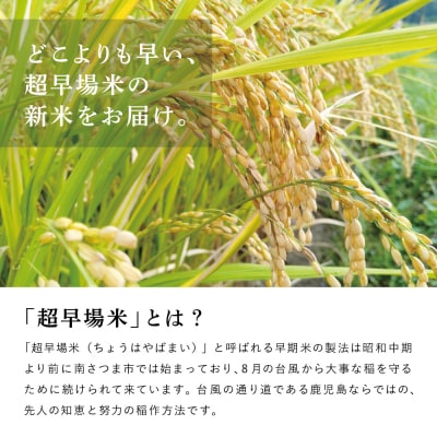 【令和7年産 新米 】<8月発送開始> 特別栽培米 金峰コシヒカリ 石蔵米 5kg×1袋 コメ お米