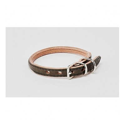 [53657030]good collar 2号 ヤナギ