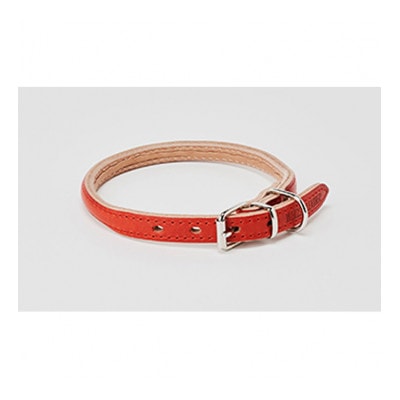 [53657036]good collar 4号 アカネ