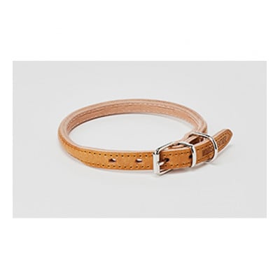[53657037]good collar 4号 ヒノキ