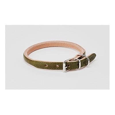 [53657038]good collar 4号 オリーブ