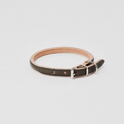 [53657040]good collar 5号 ヤナギ