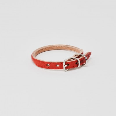 [53657041]good collar 5号 アカネ