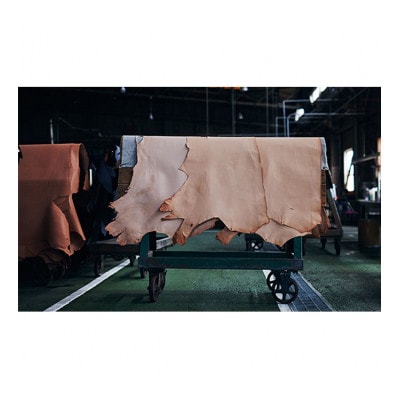 [53657042]good collar 5号 ヒノキ