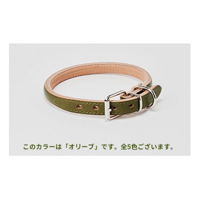 [53657043]good collar 5号 オリーブ