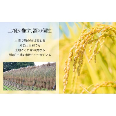 龍力 大吟醸 米のささやき 720ml[53650025]