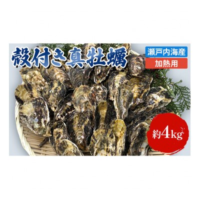 牡蠣 殻付き 加熱用 約4kg 旬にお届け! 姫路産[53650002]
