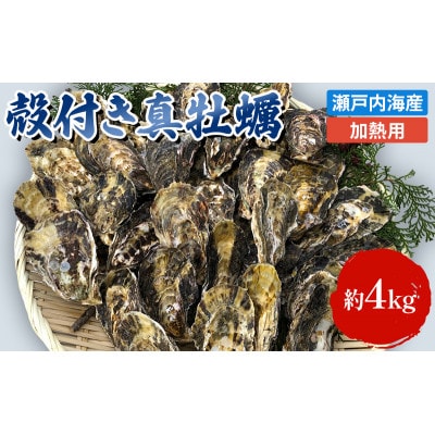 【2026年1月中旬以降順次発送予定】牡蠣 殻付き 加熱用約4kg 旬にお届け![53650002]