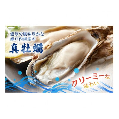 牡蠣 殻付き 加熱用 約4kg 旬にお届け! 姫路産[53650002]