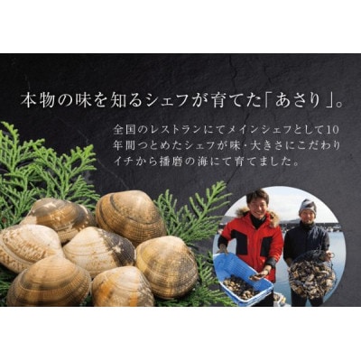 【さりひめ】姫路産養殖活あさり 1kg [53651694]