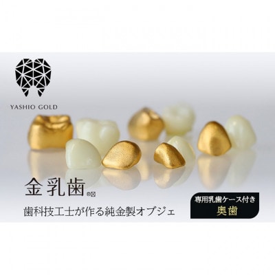 [53651094]金乳歯(奥歯)抜けた乳歯から歯科技工士が作る純金製オブジェ 専用乳歯ケース付き