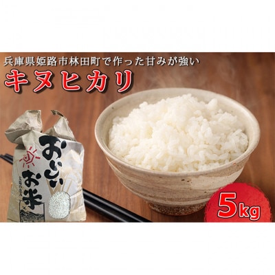【令和7年産】　きぬひかり5キロ 姫路市産[53650728]